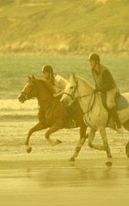 Dingle Horse Riding - Beach Trek