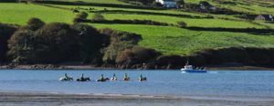 Horse Riding in Dingle Bay