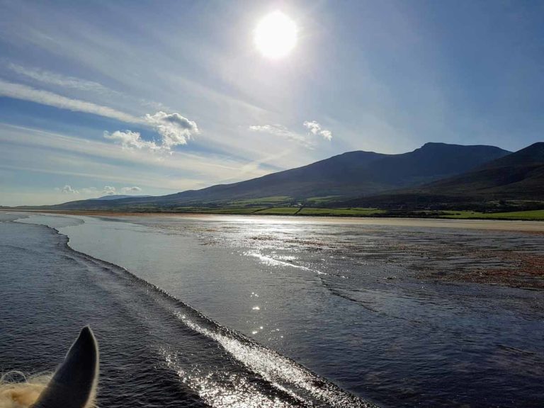 Enjoy the beauty of the Wild Atlantic Way on horseback