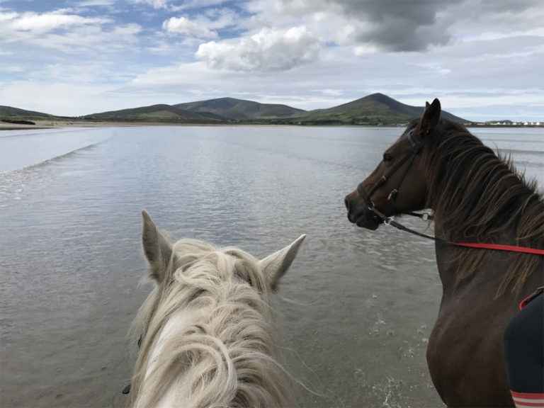 Horse Riding on the beach
