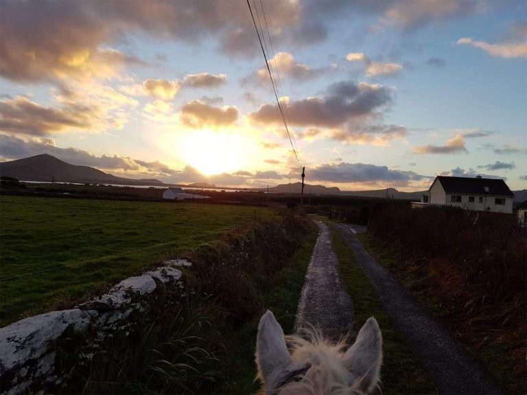 Enjoy stunning sunset horse rides