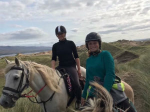 We favour the Irish draught horse and Connemara Ponies