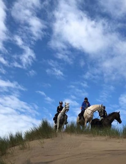 Horses on the beach in West Kerry