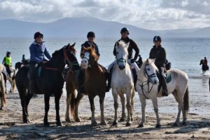 Horses on the Beach