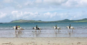 horses-on-the-beach