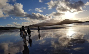 Sunset Beach Ride with Dingle Horseriding