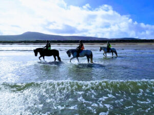 Blue evening on Wild Atlantic Way Trail