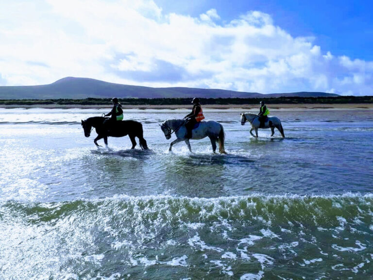 Blue evening on Wild Atlantic Way Trail