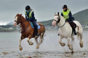 Bob and Marley enjoying a canter on the beach