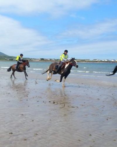 Dingle Horse Riding Treks on the Beach