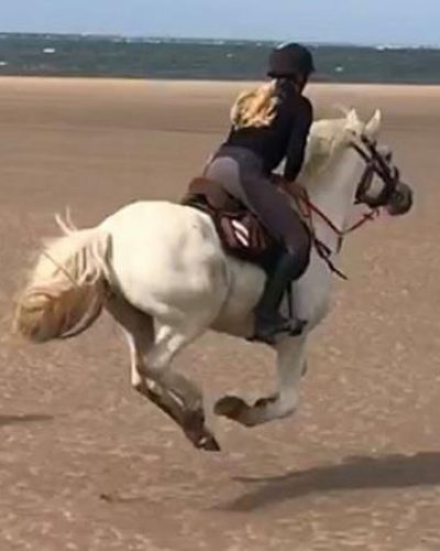 Galloping on the beach