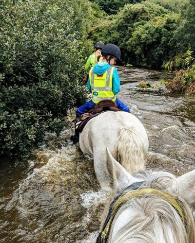 Horses on the river crossing