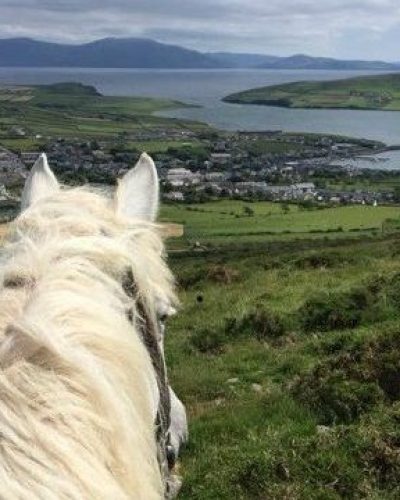 Overlooking Dingle Town