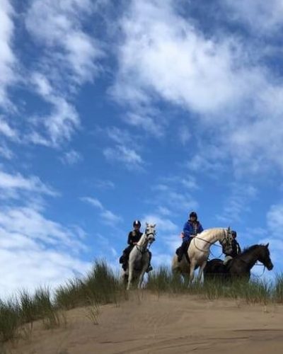Horses on the beach in West Kerry